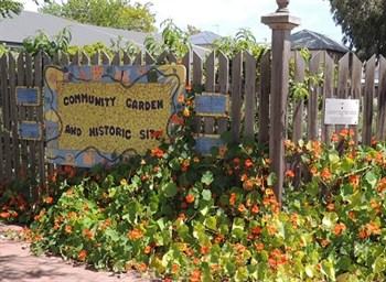 Welcome to the Community Garden