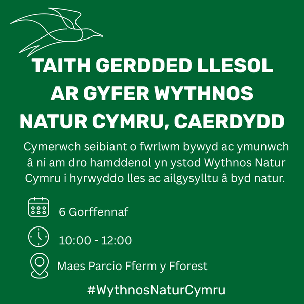 Taith Gerdded Llesol ar gyfer Wythnos Natur Cymru, Caerdydd