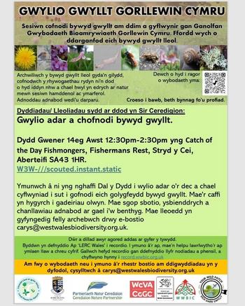 West Wales Wildlife watch Cym