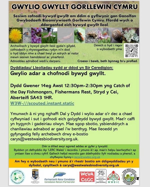 West Wales Wildlife watch Cym