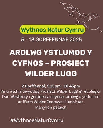 Arolwg Ystlumod y Cyfnos – Prosiect Wilder Lugg