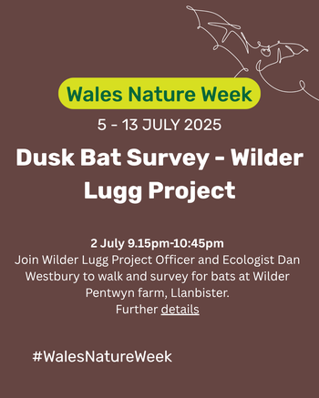 Dusk Bat Survey - Wilder Lugg Project