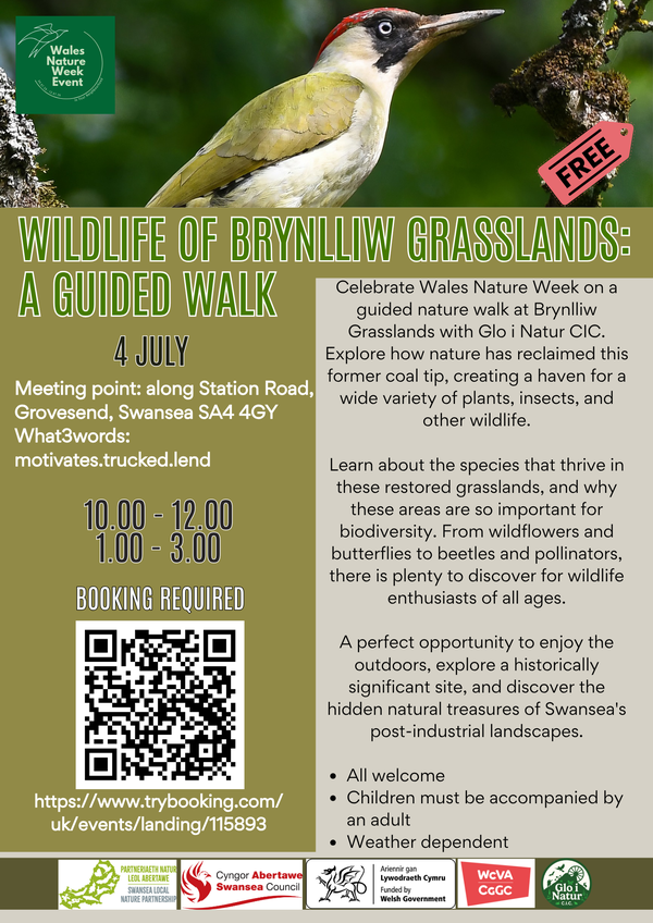 Wildlife of Brynlliw grasslands_English