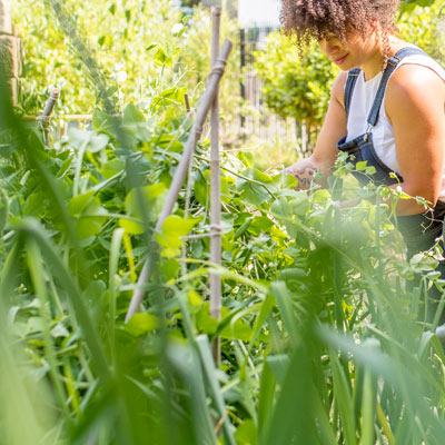 Woman in Garden