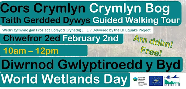 World Wetlands Day 2026 Life Quake