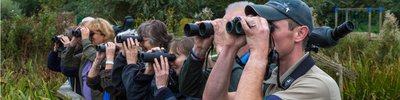 events