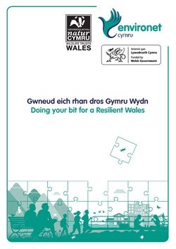 front cover image