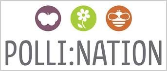 pollination