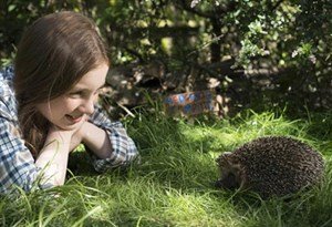 rspb giving nature a home campaign