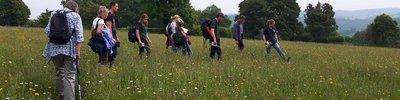 meadow walk