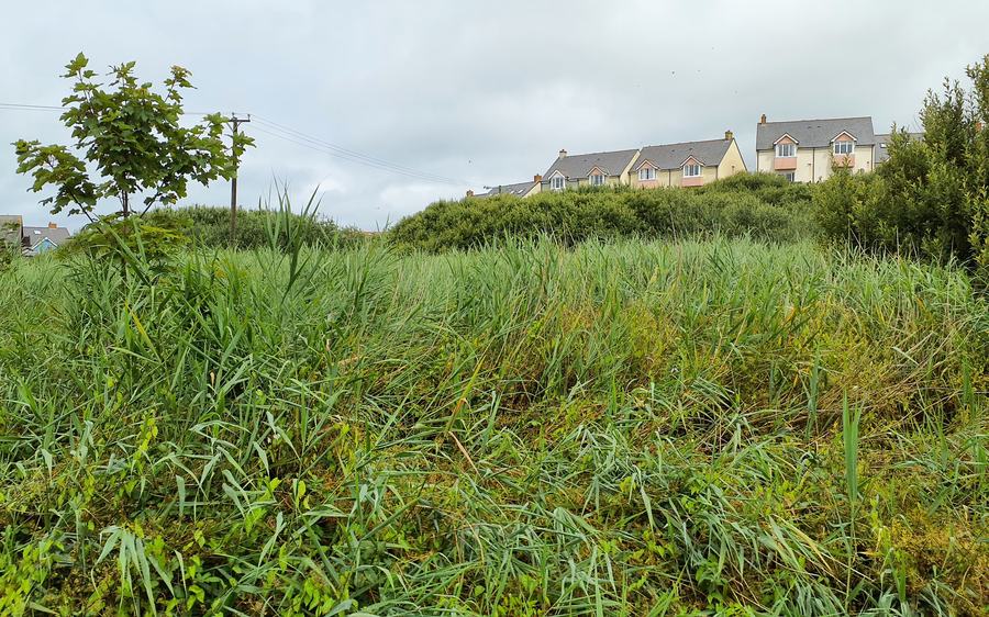Pwll Slaes - Slash Pond