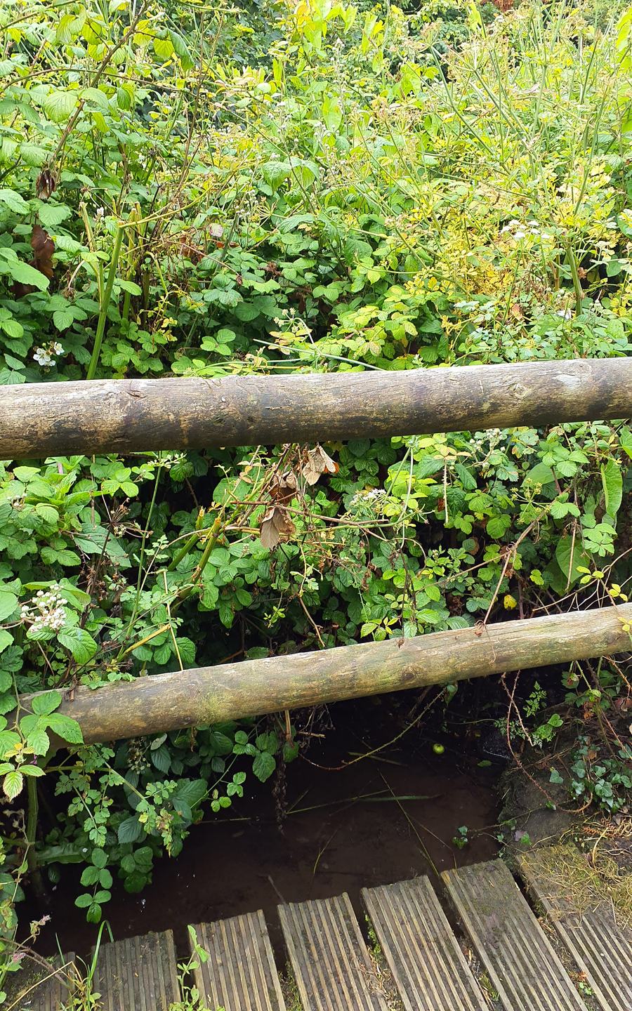 Pwll Slaes - Slash Pond