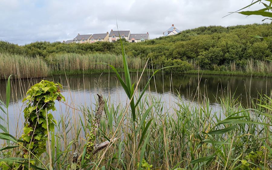 Pwll Slaes - Slash Pond