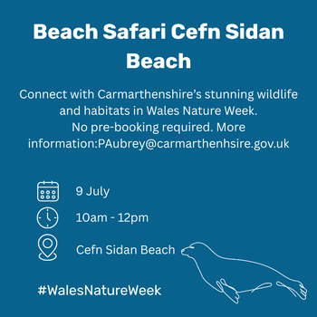 Cefn sidan