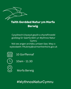 Morfa Berwig