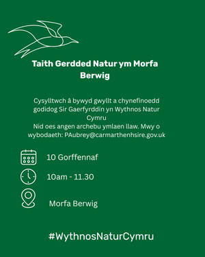 Morfa Berwig