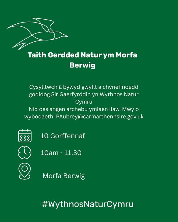 Morfa Berwig