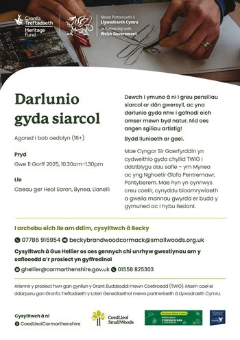 darlunio gyda siarcol