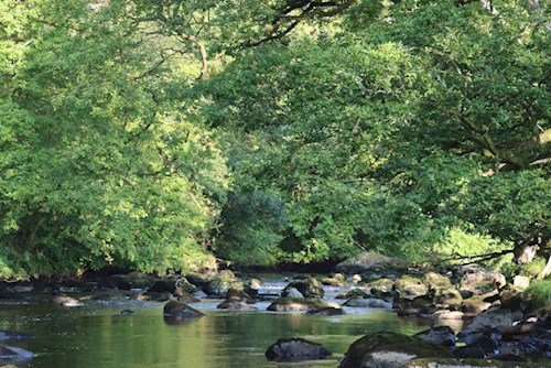 tributary of river dee afon tryweryn NRW